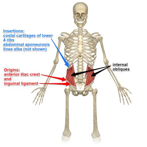 obliquet